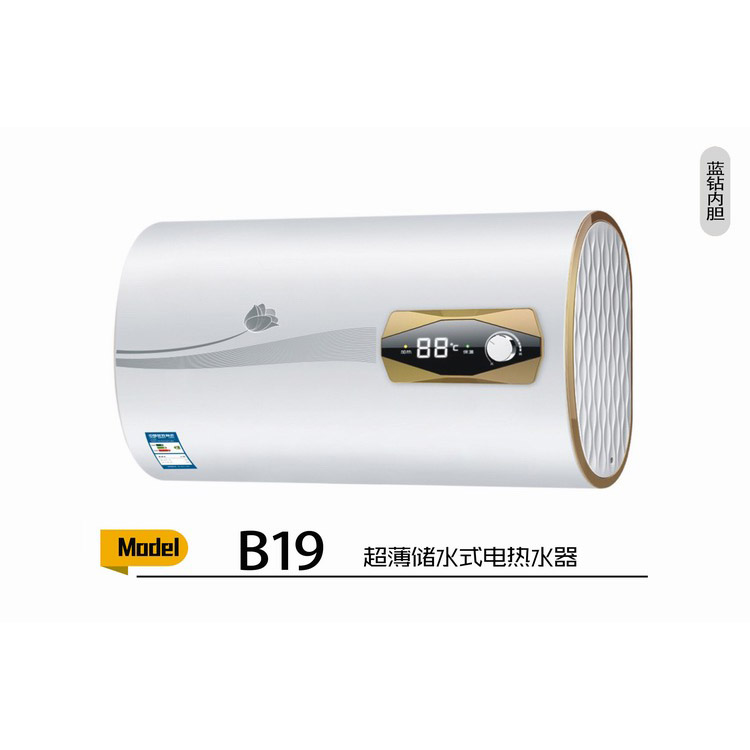 B19